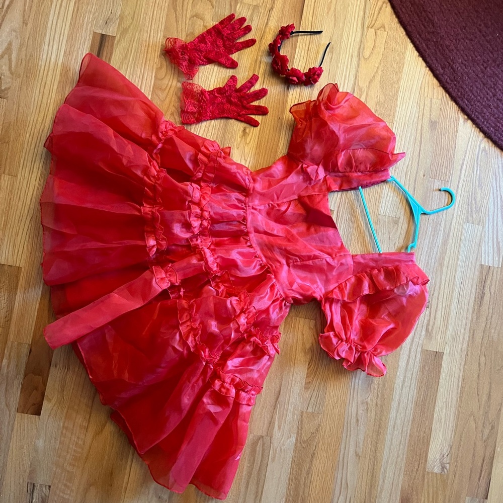Taylor Swift Costume dress IBYTAM